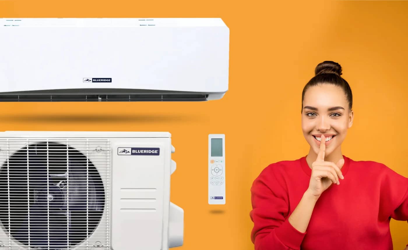 Guide to Best Ducted Mini Split Systems Alpine Home Air